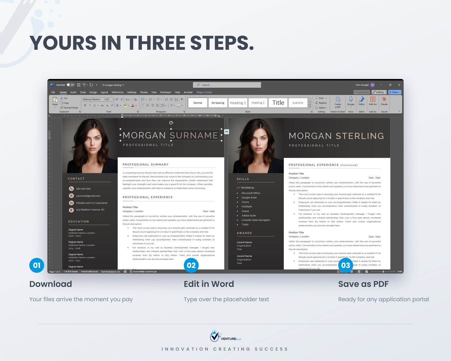 Executive CV Bundle 12