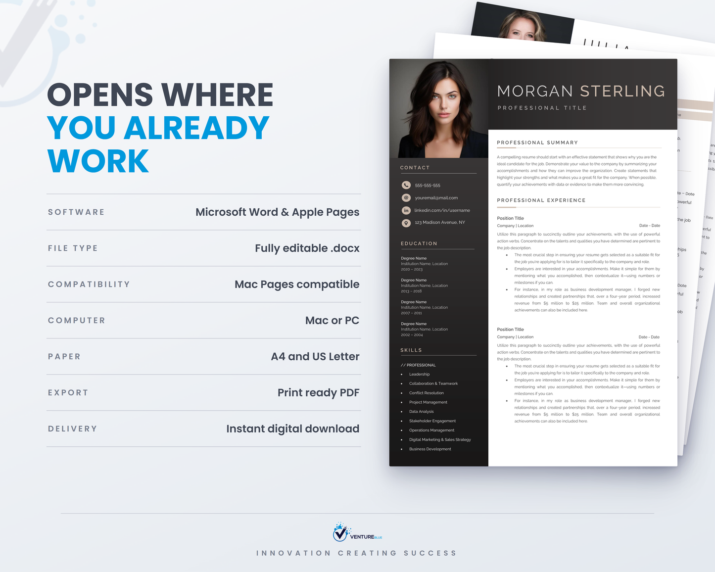 Executive CV Bundle 14