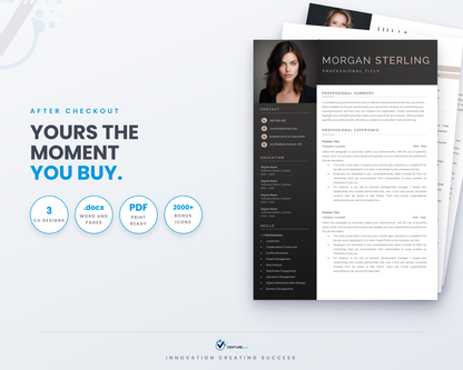 Executive CV Bundle 19