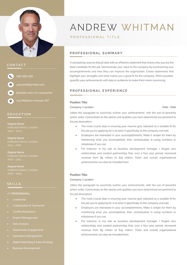 Full CV template page preview