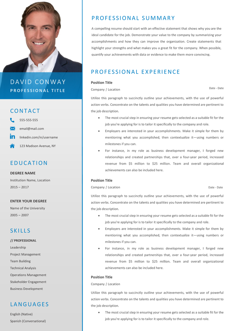 Full CV template page preview
