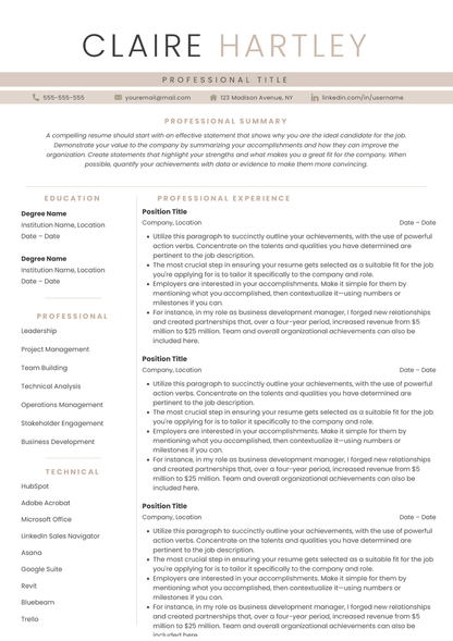Full CV template page preview