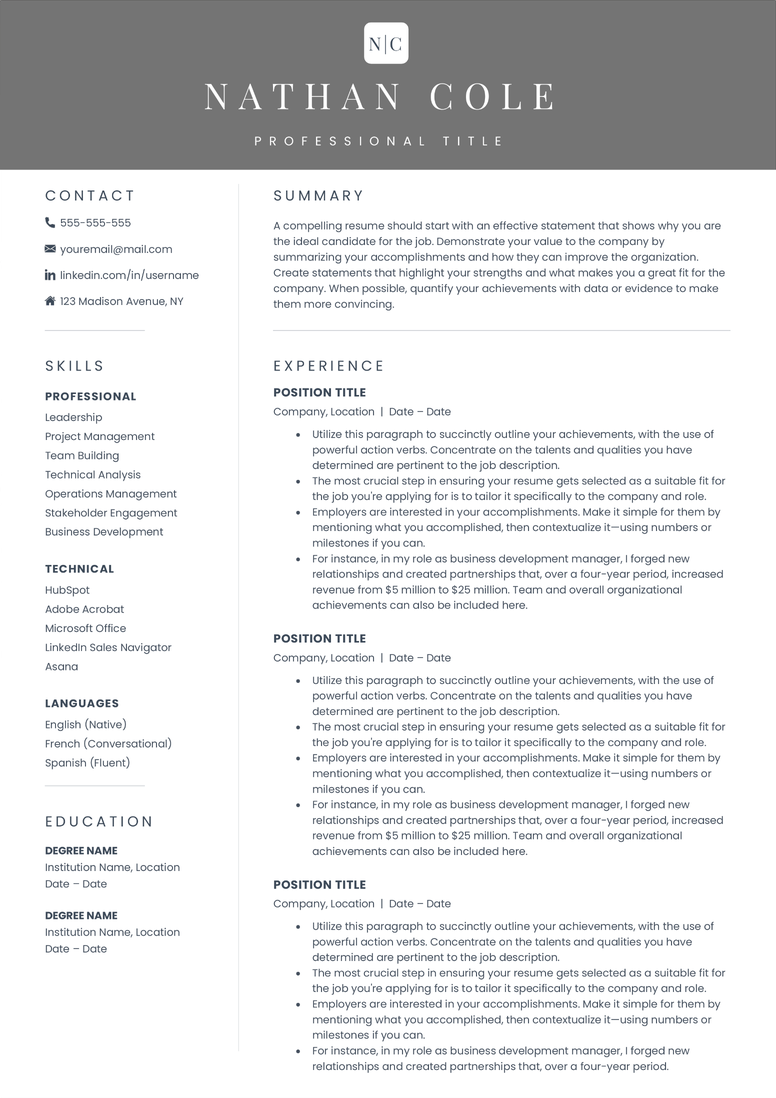 Full CV template page preview