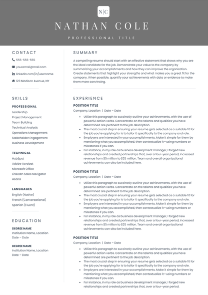 Full CV template page preview