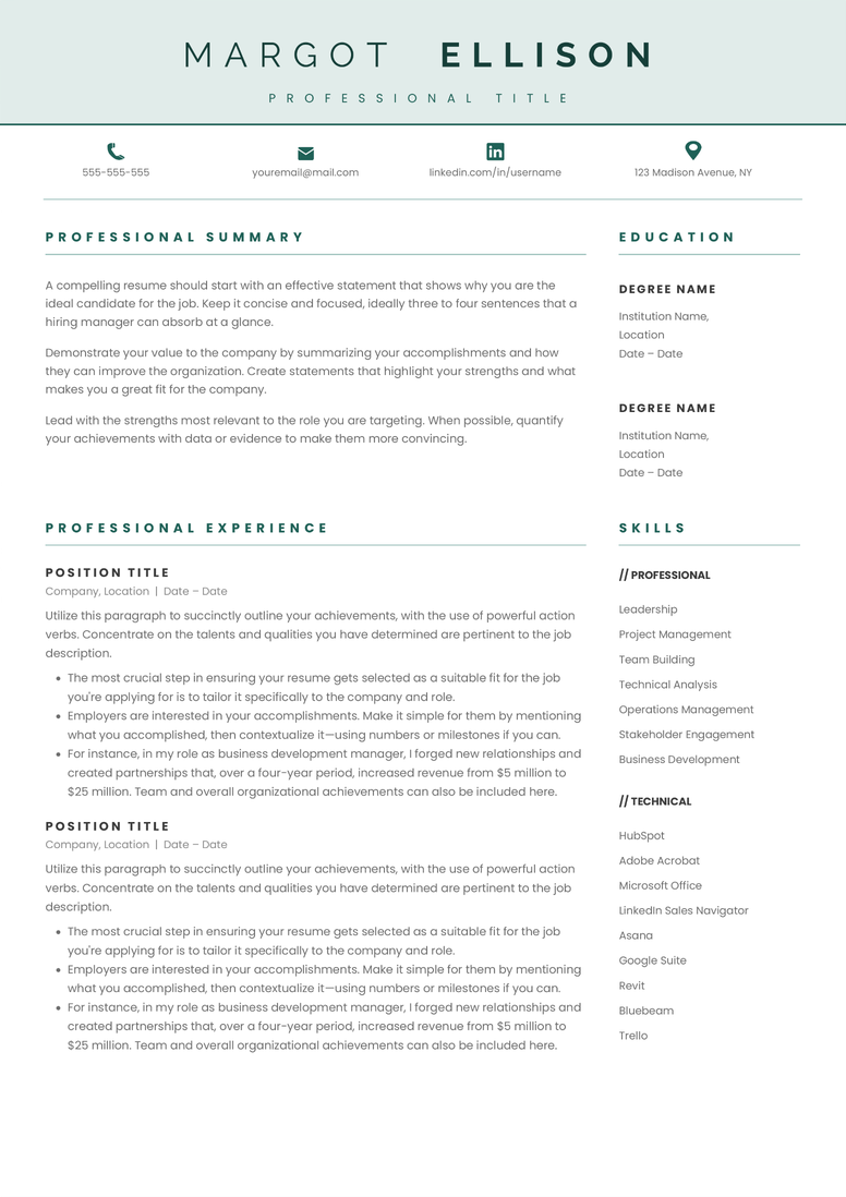 Full CV template page preview