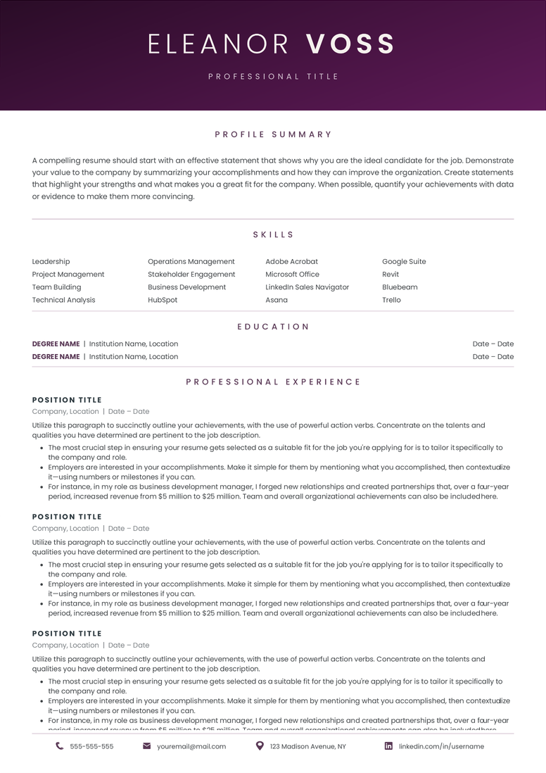 Full CV template page preview