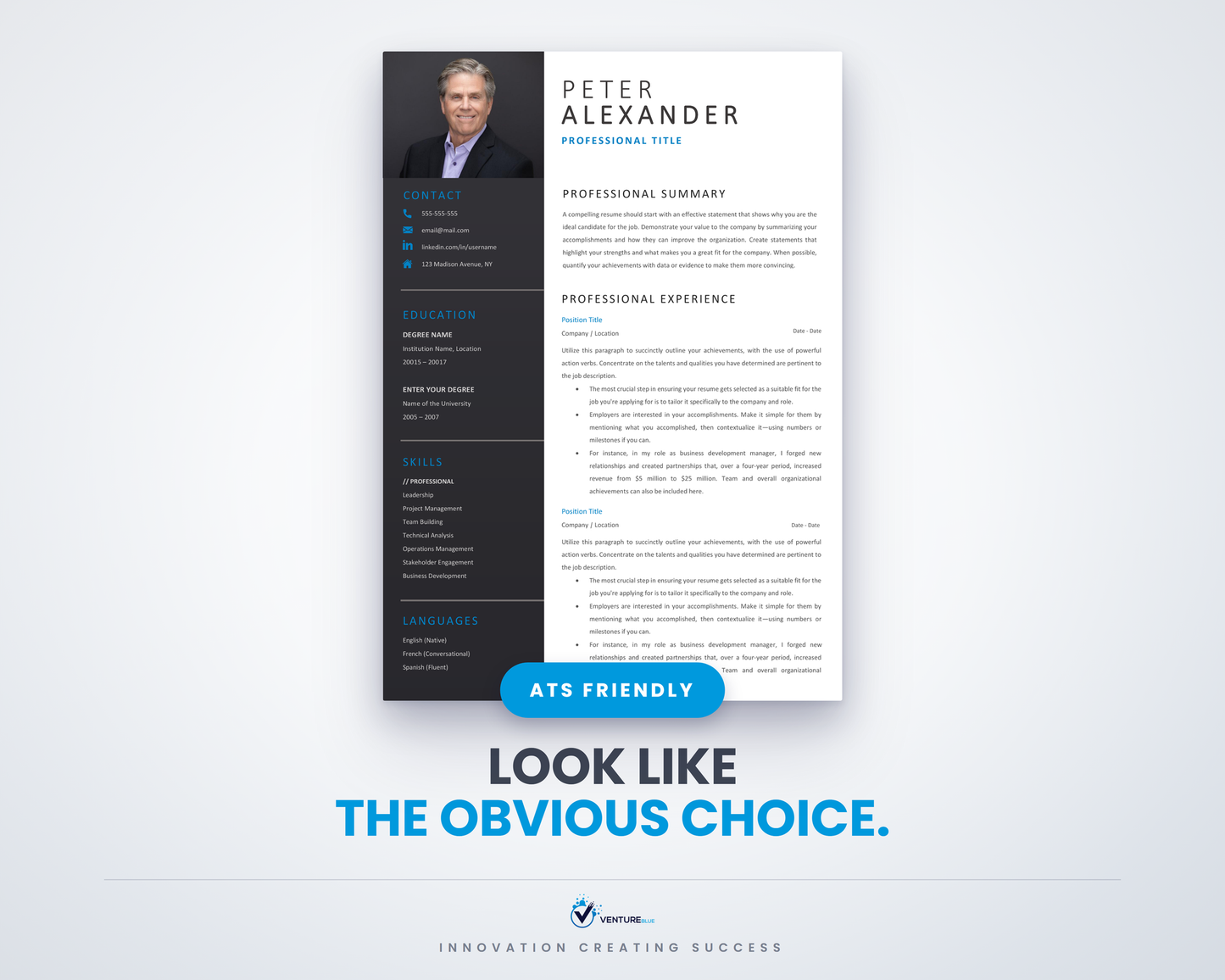Peter Alexander CV template 01