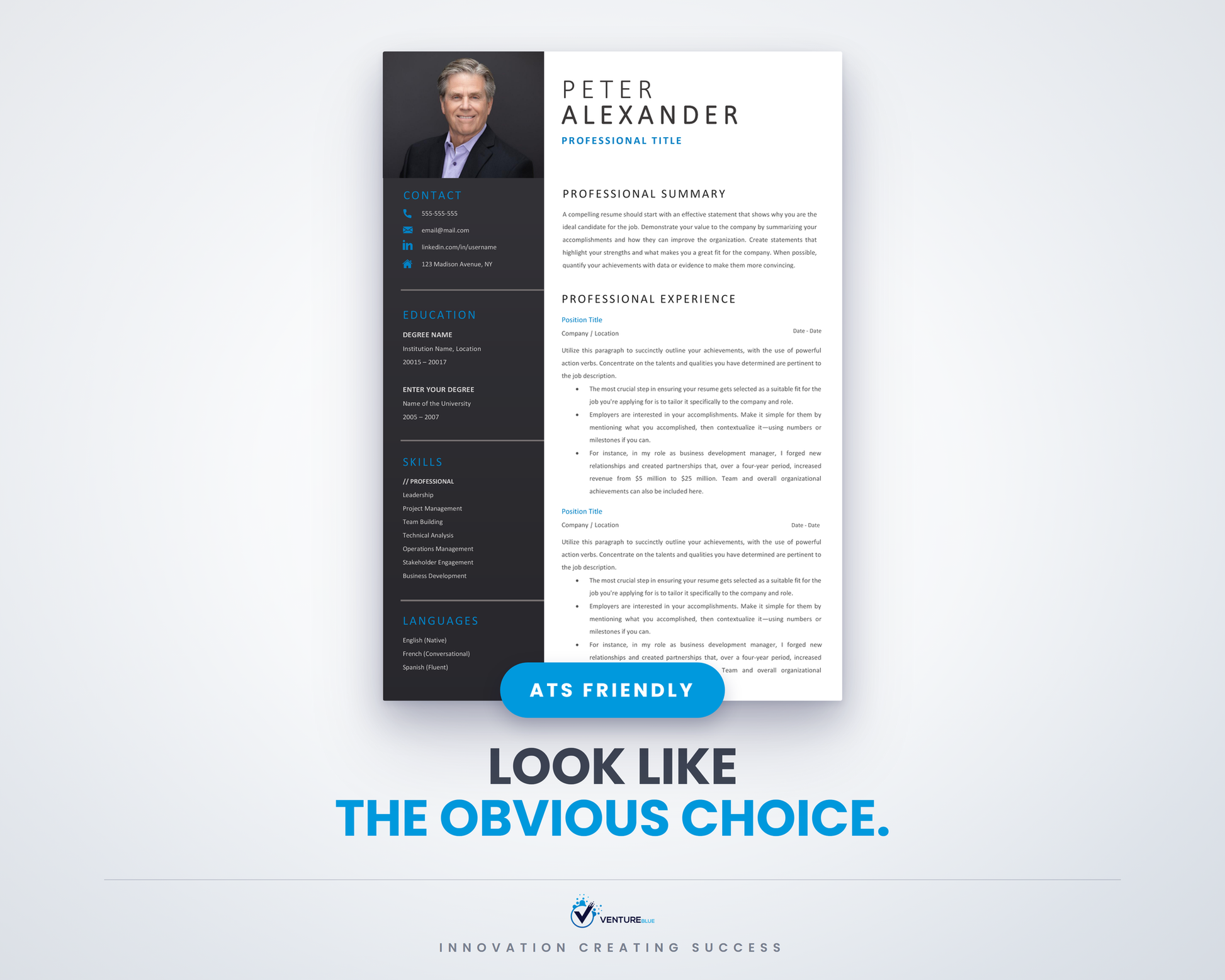 Peter Alexander CV template 01