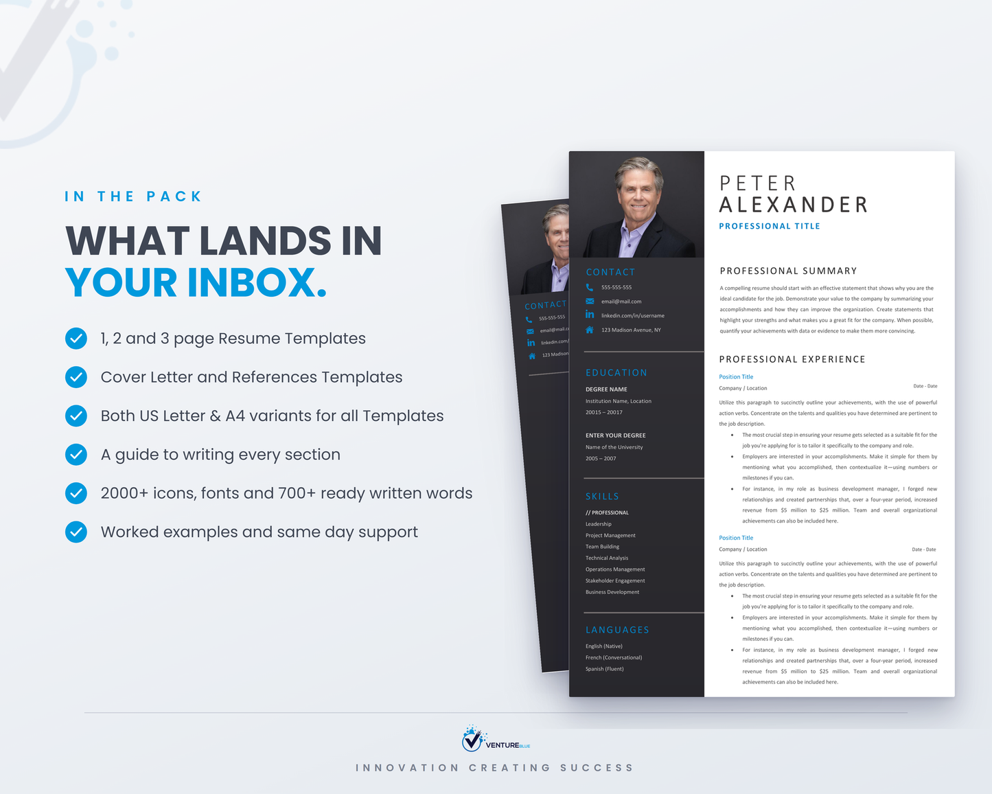 Peter Alexander CV template 03
