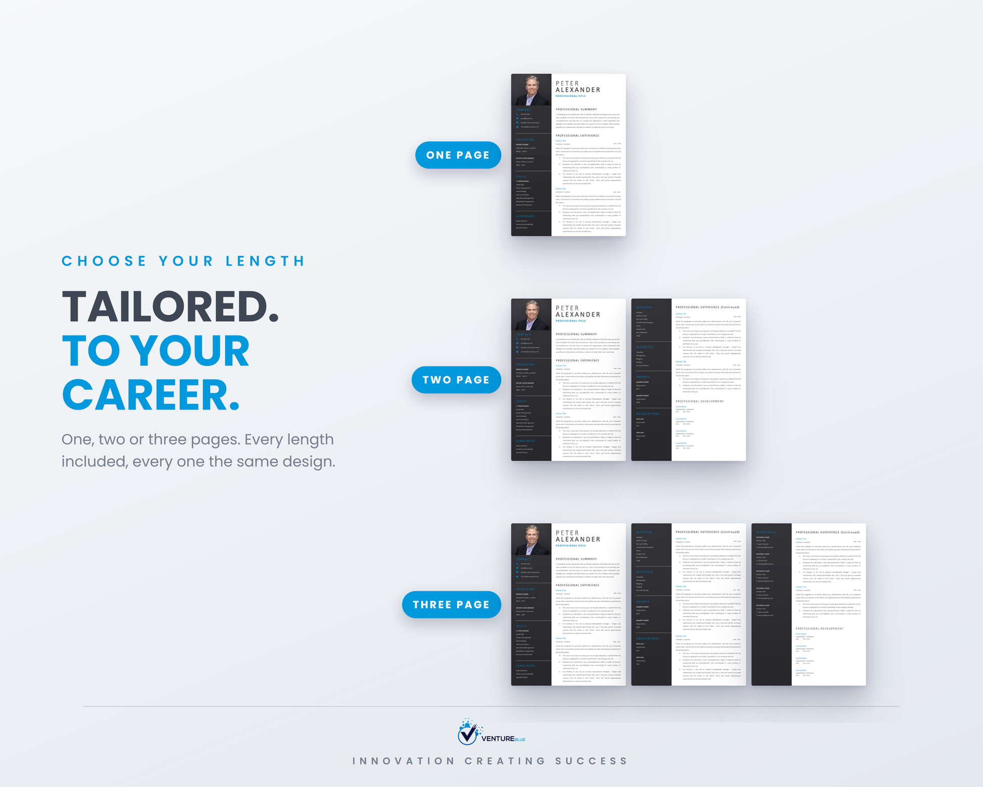 Peter Alexander CV template 06