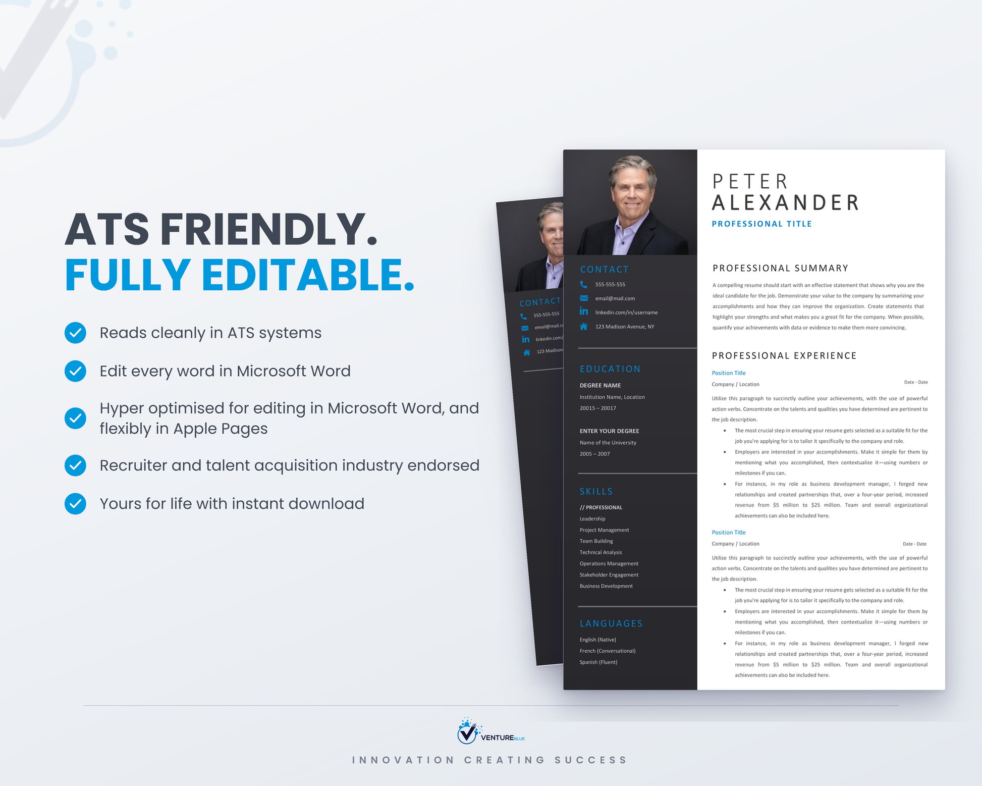 Peter Alexander CV template 08