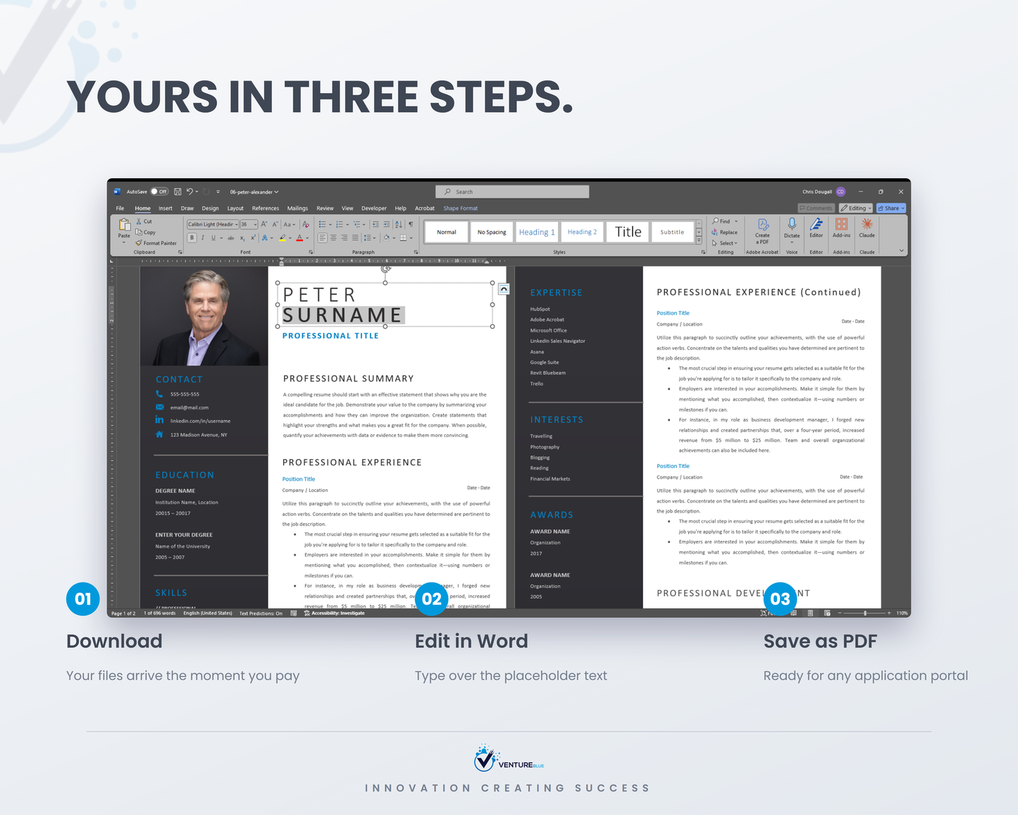 Peter Alexander CV template 11