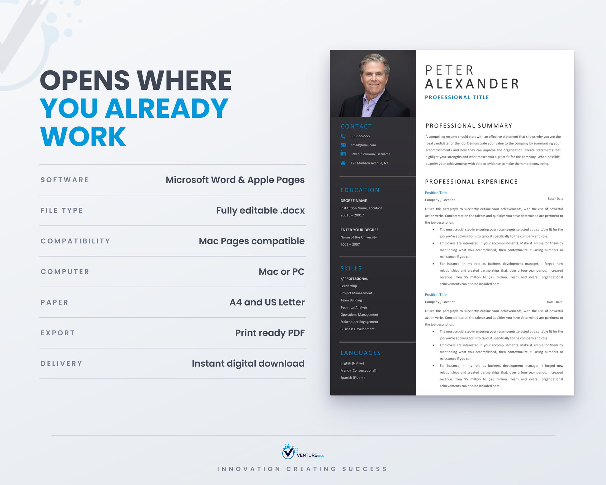 Peter Alexander CV template 12