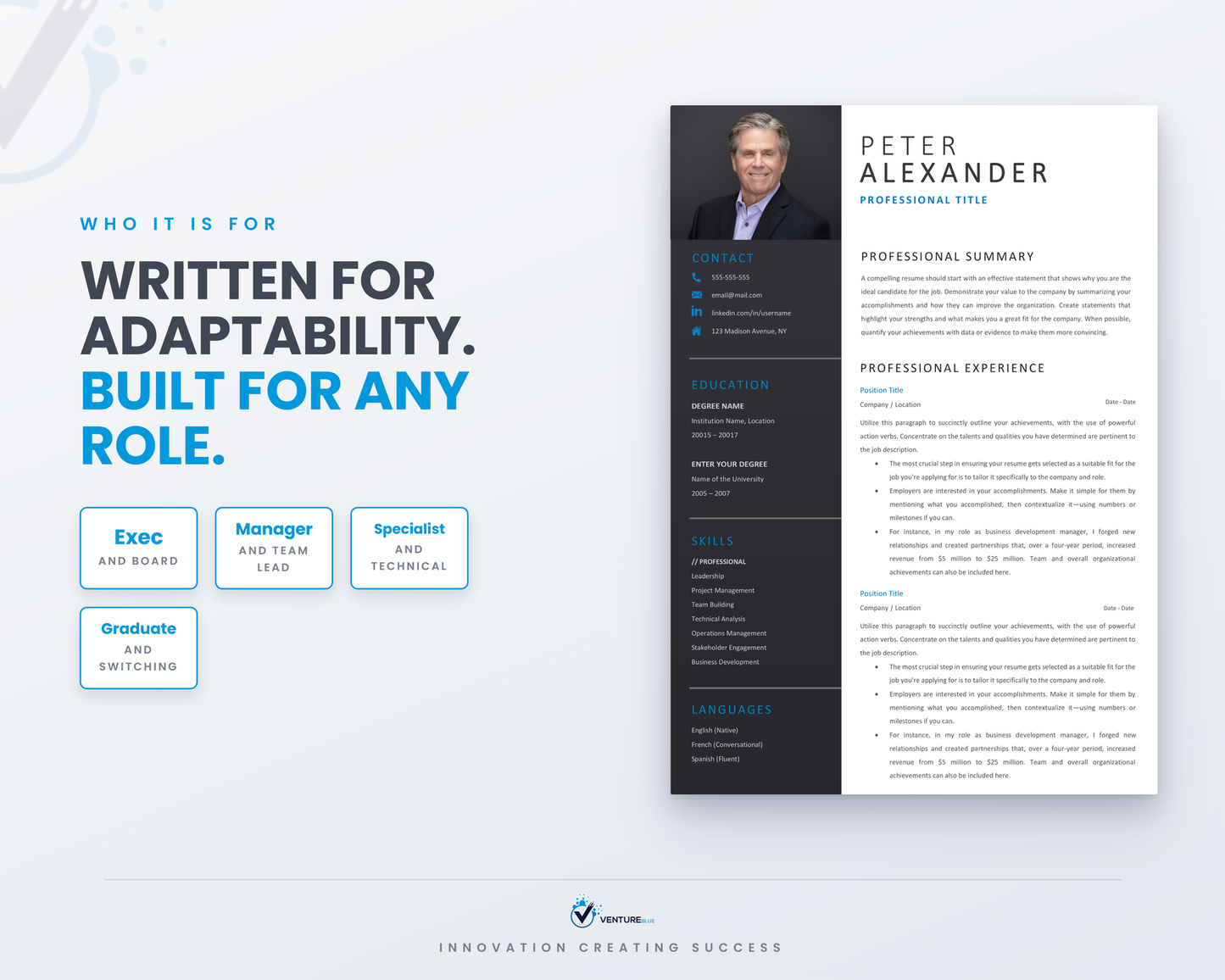 Peter Alexander CV template 16