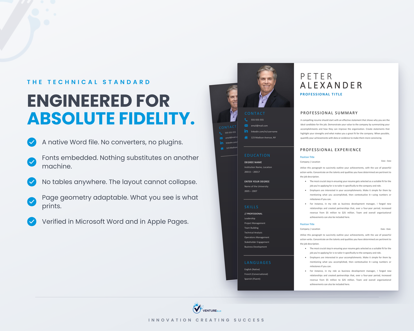 Peter Alexander CV template 17