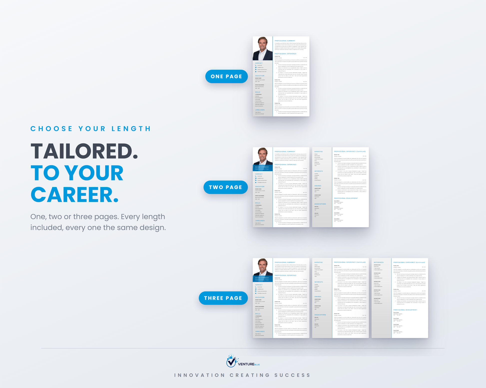 David Conway CV template 06