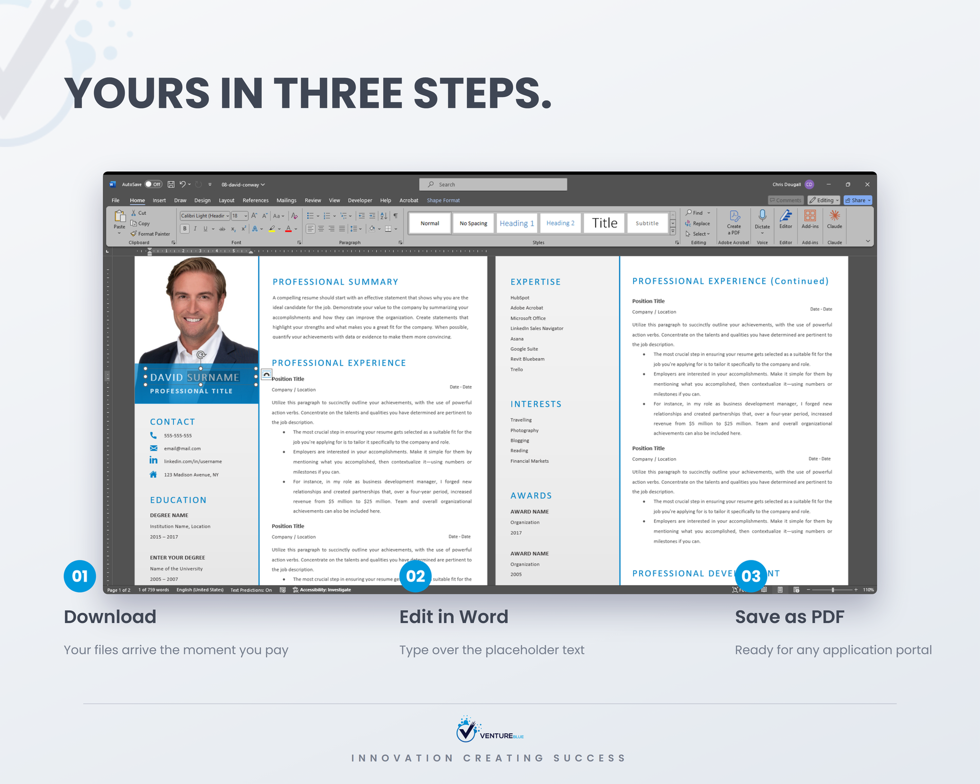 David Conway CV template 11