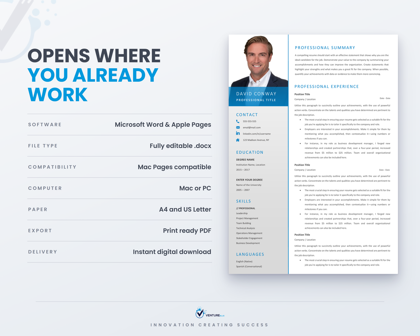 David Conway CV template 12