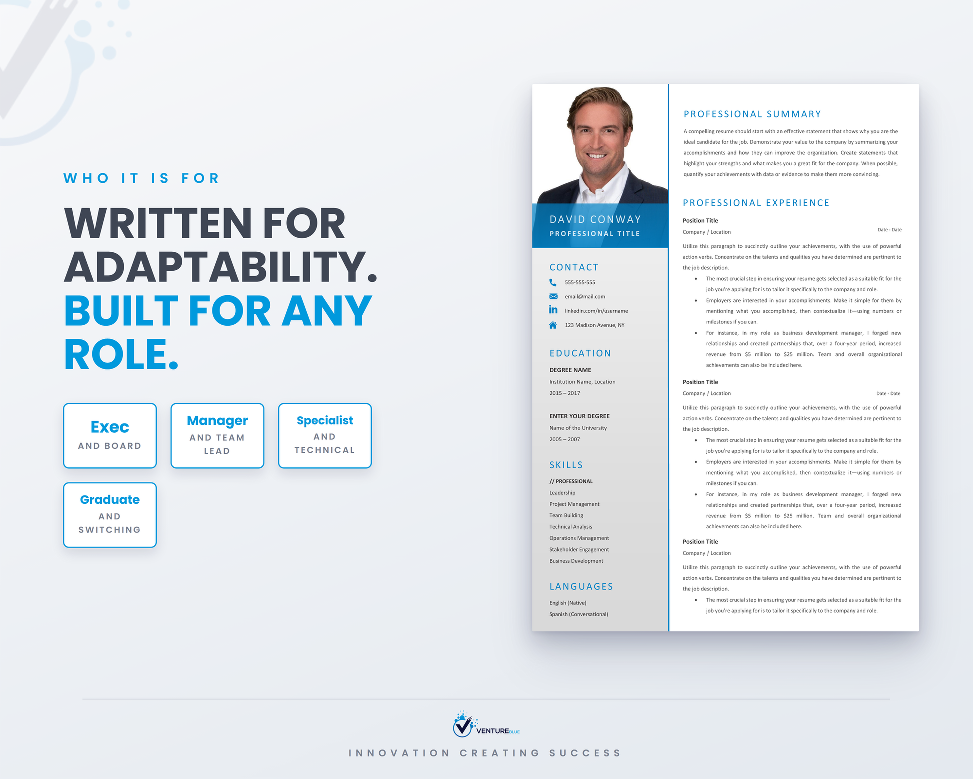 David Conway CV template 16
