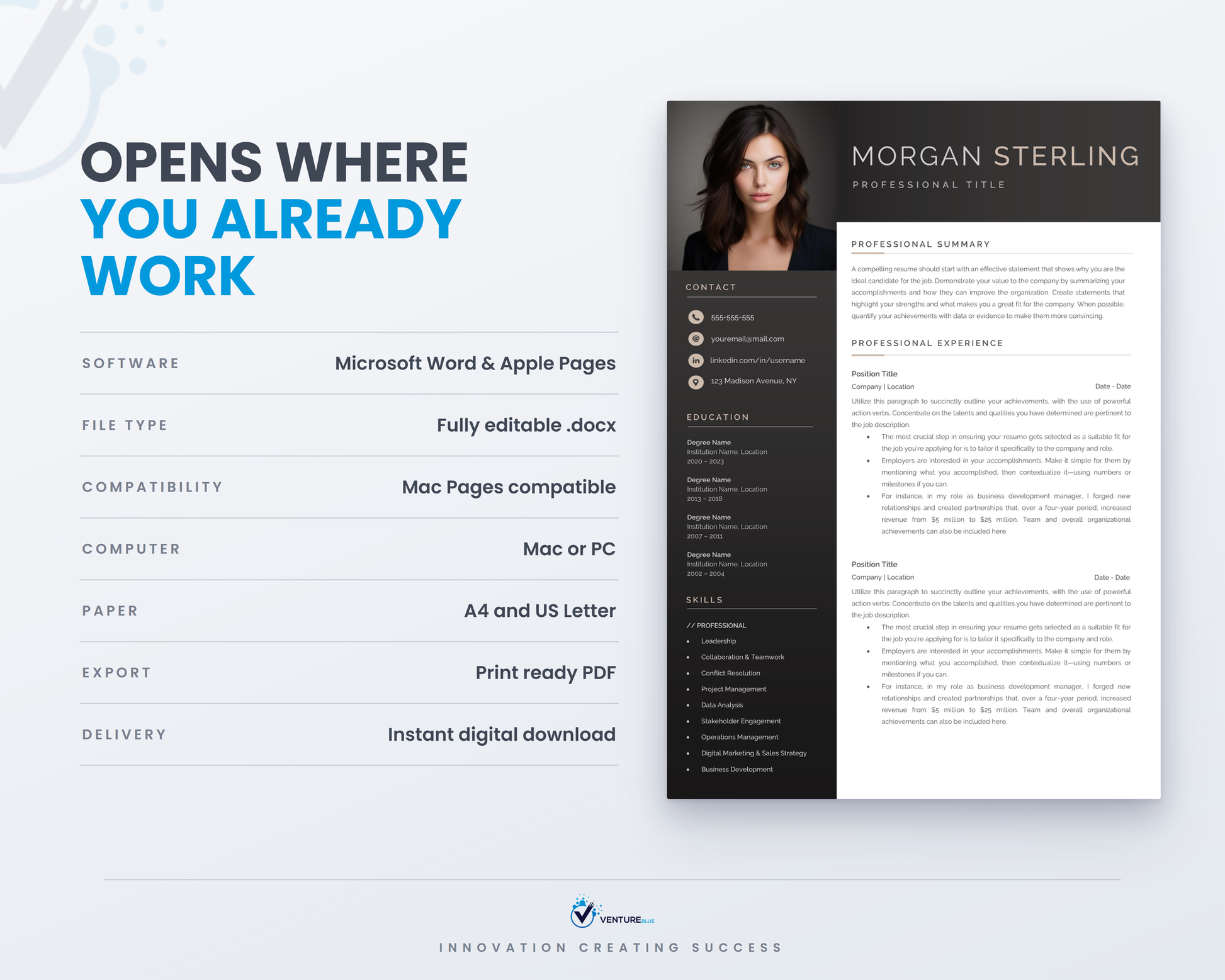 Morgan Sterling CV template 12