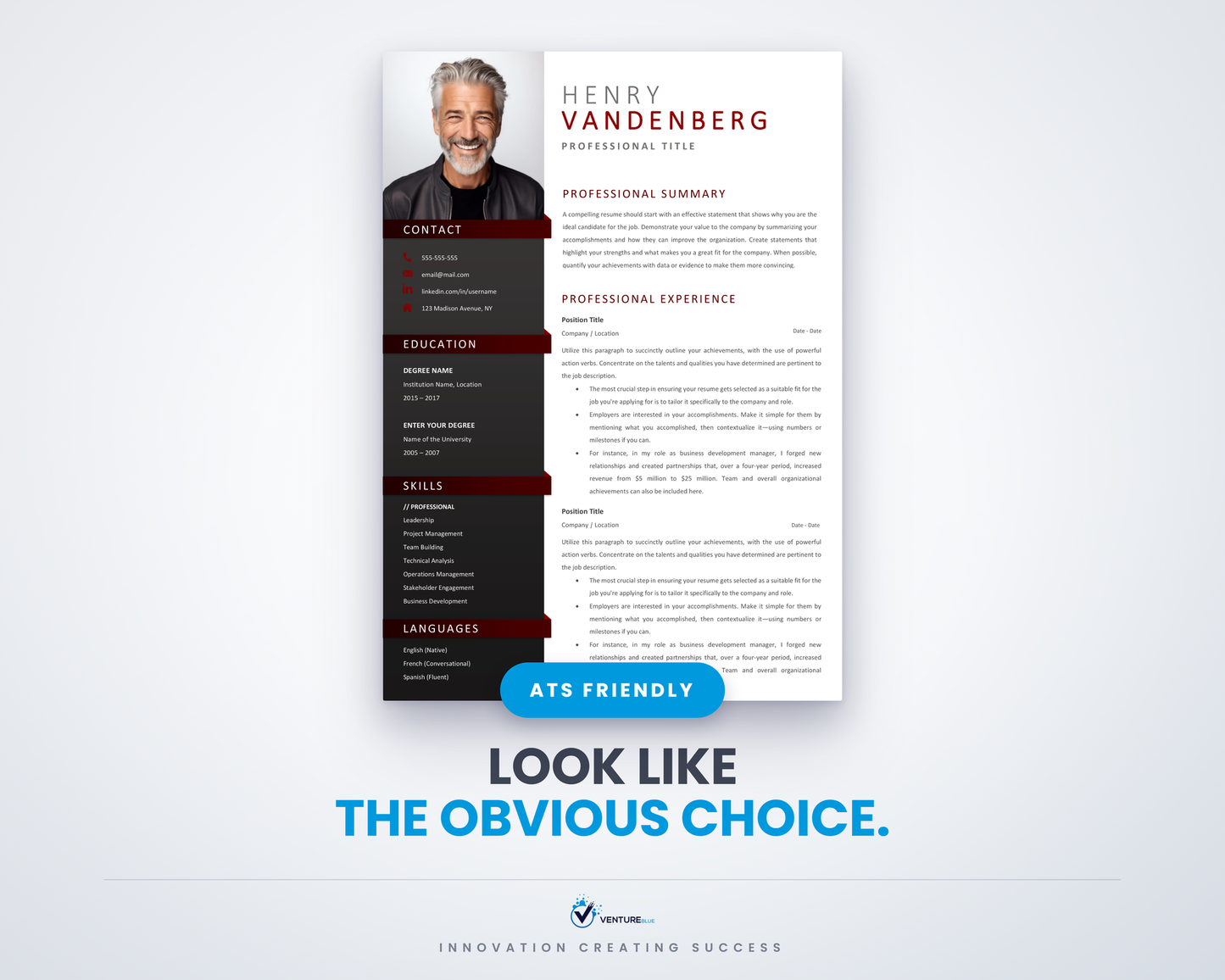 Henry Vandenberg CV template 01