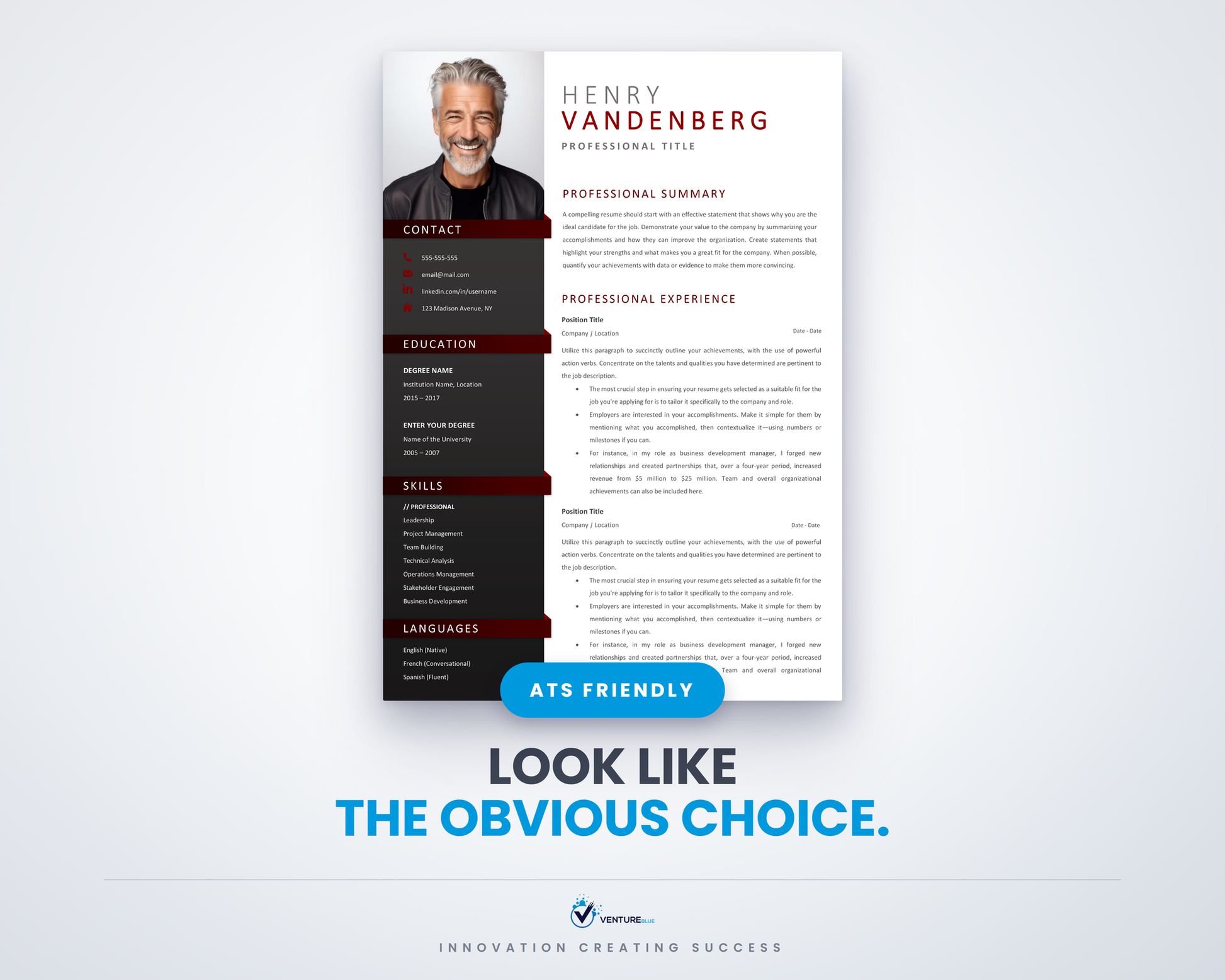 Henry Vandenberg CV template 01