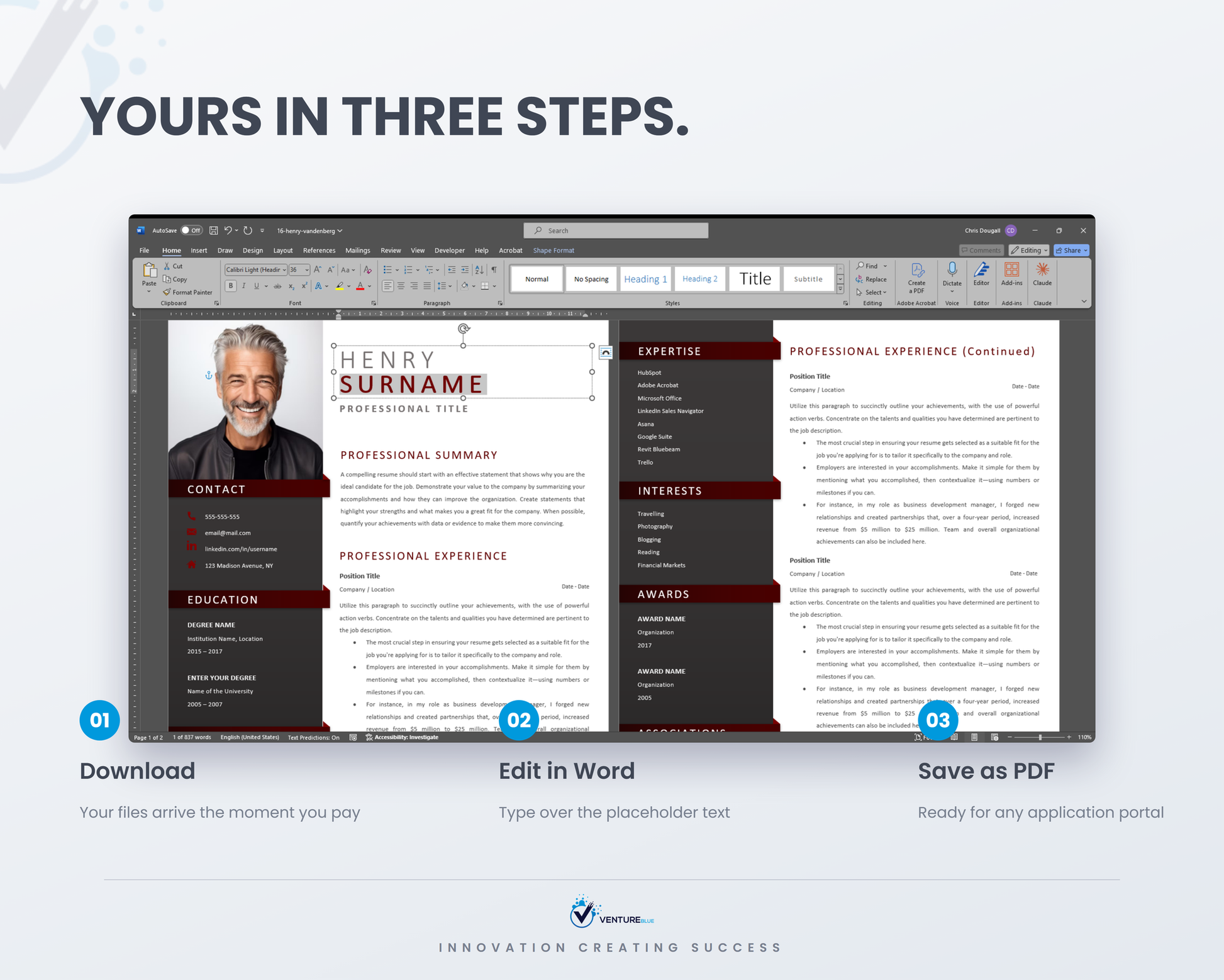 Henry Vandenberg CV template 11