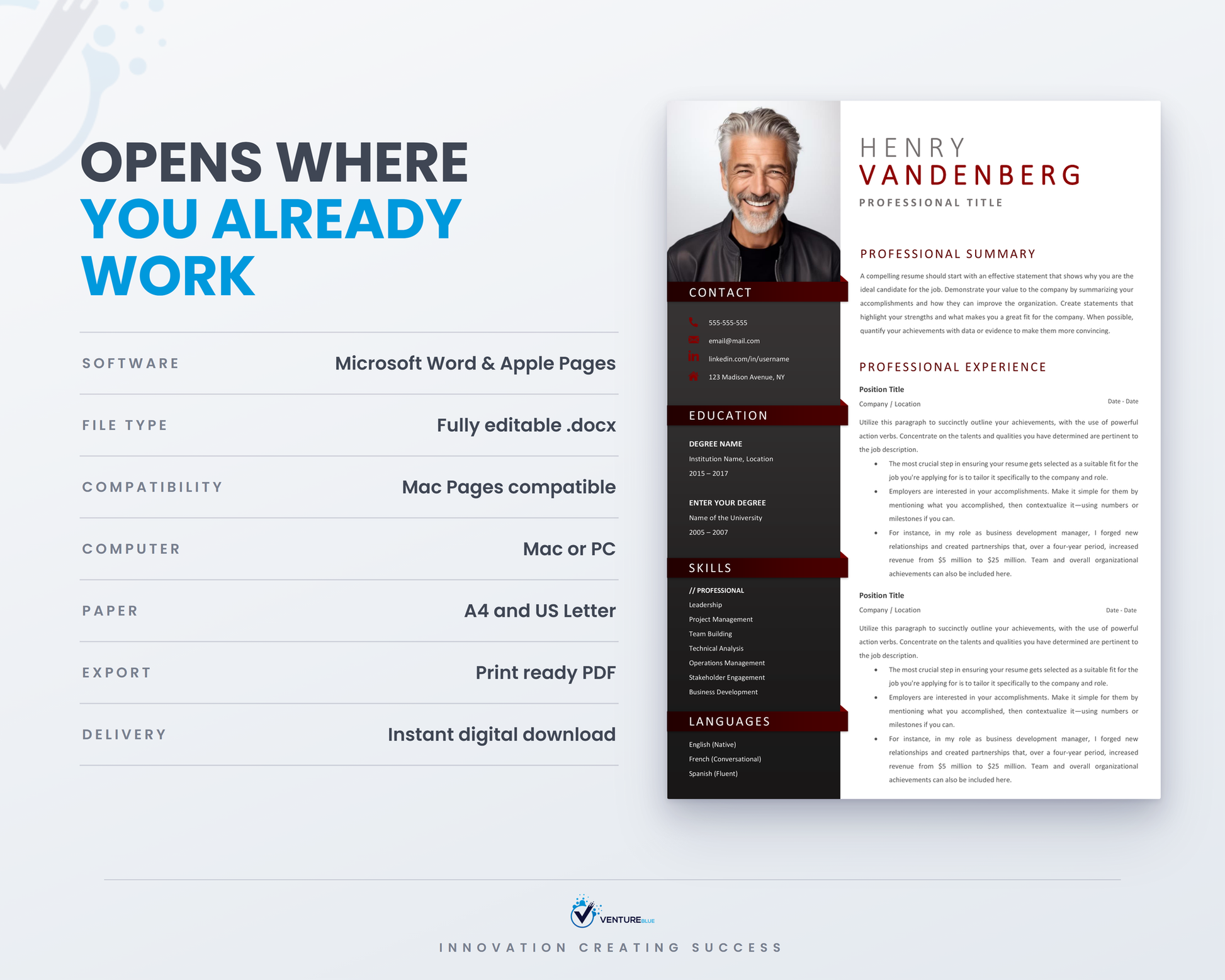Henry Vandenberg CV template 12