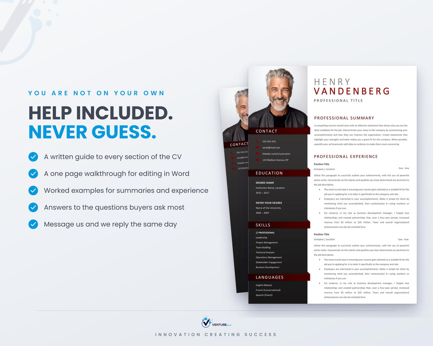 Henry Vandenberg CV template 15