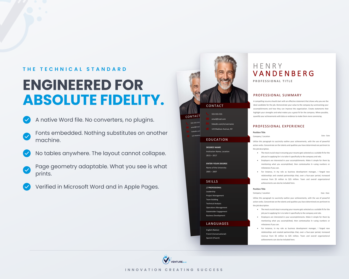 Henry Vandenberg CV template 17