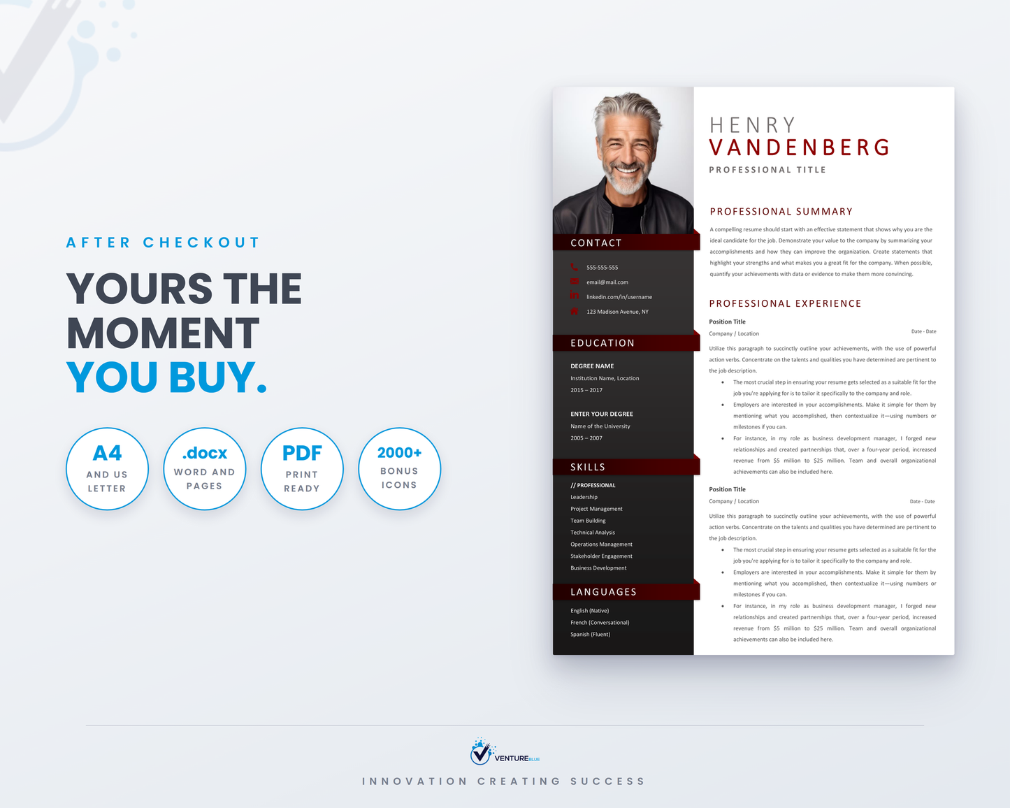 Henry Vandenberg CV template 19