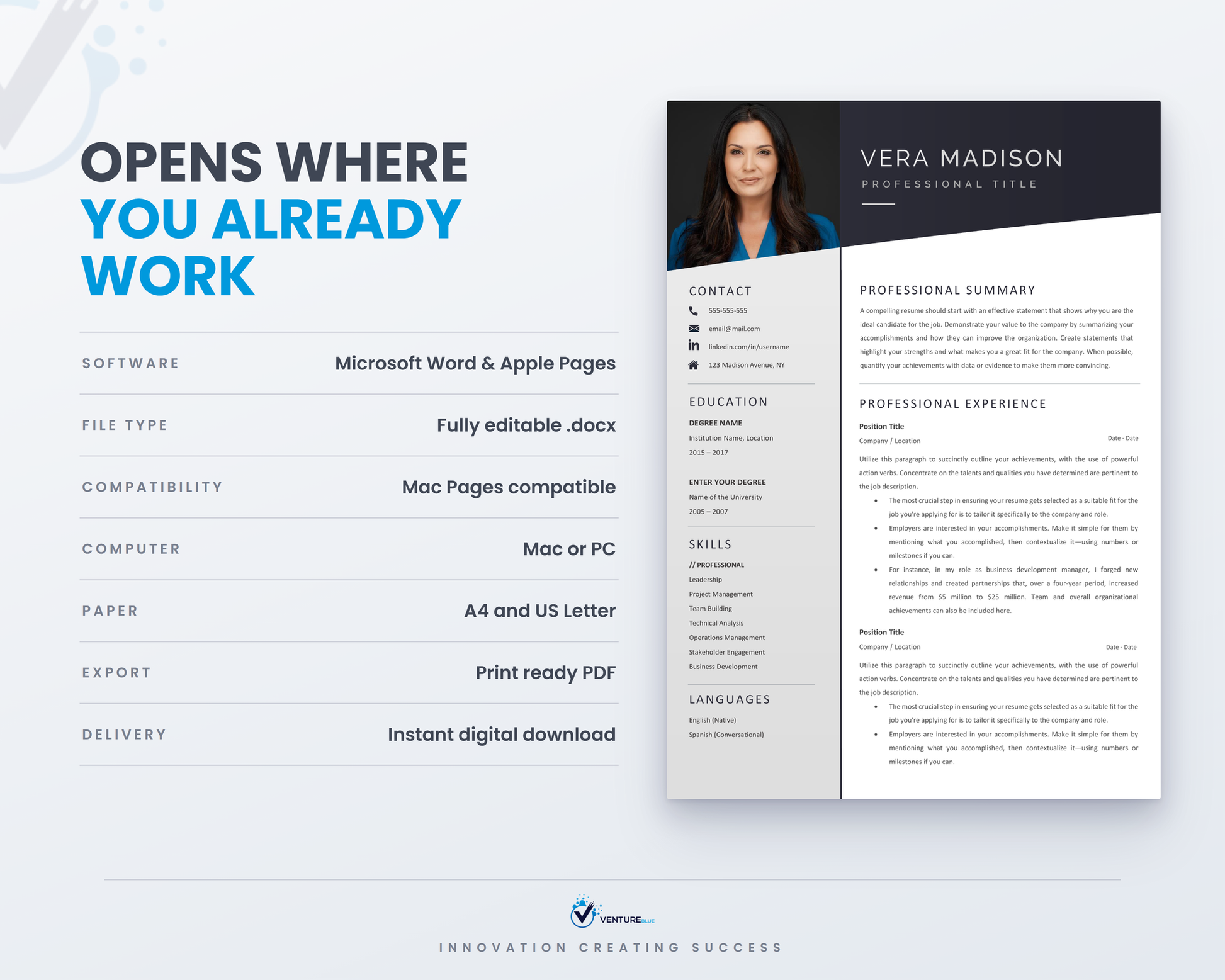 Vera Madison CV template 12