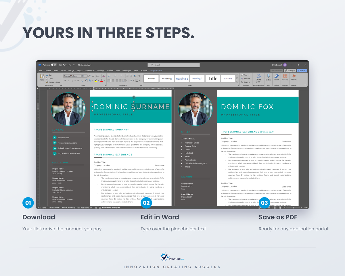 Dominic Fox CV template 11