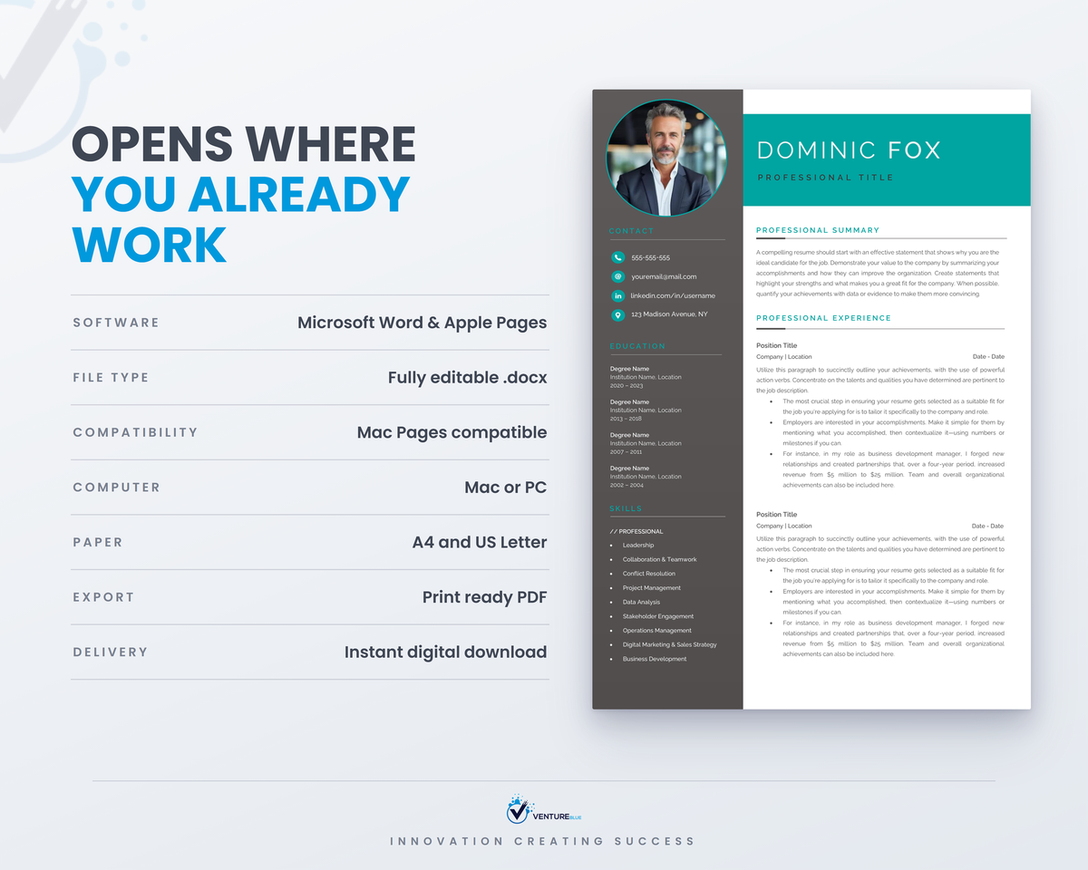 Dominic Fox CV template 12