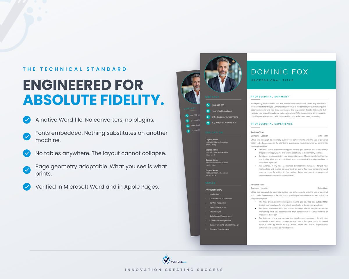 Dominic Fox CV template 17