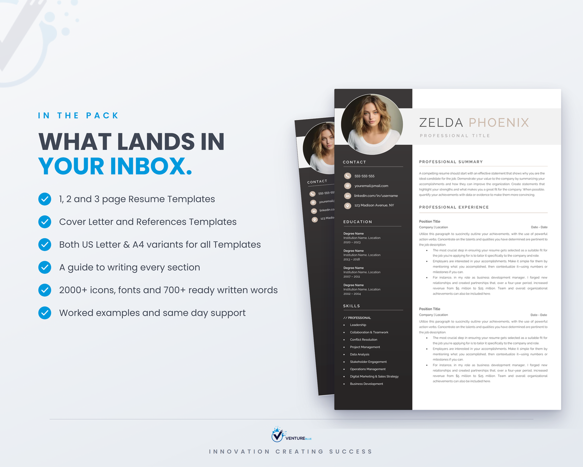 Zelda Phoenix CV template 03
