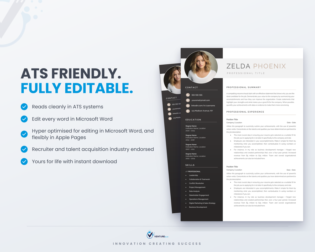 Zelda Phoenix CV template 08