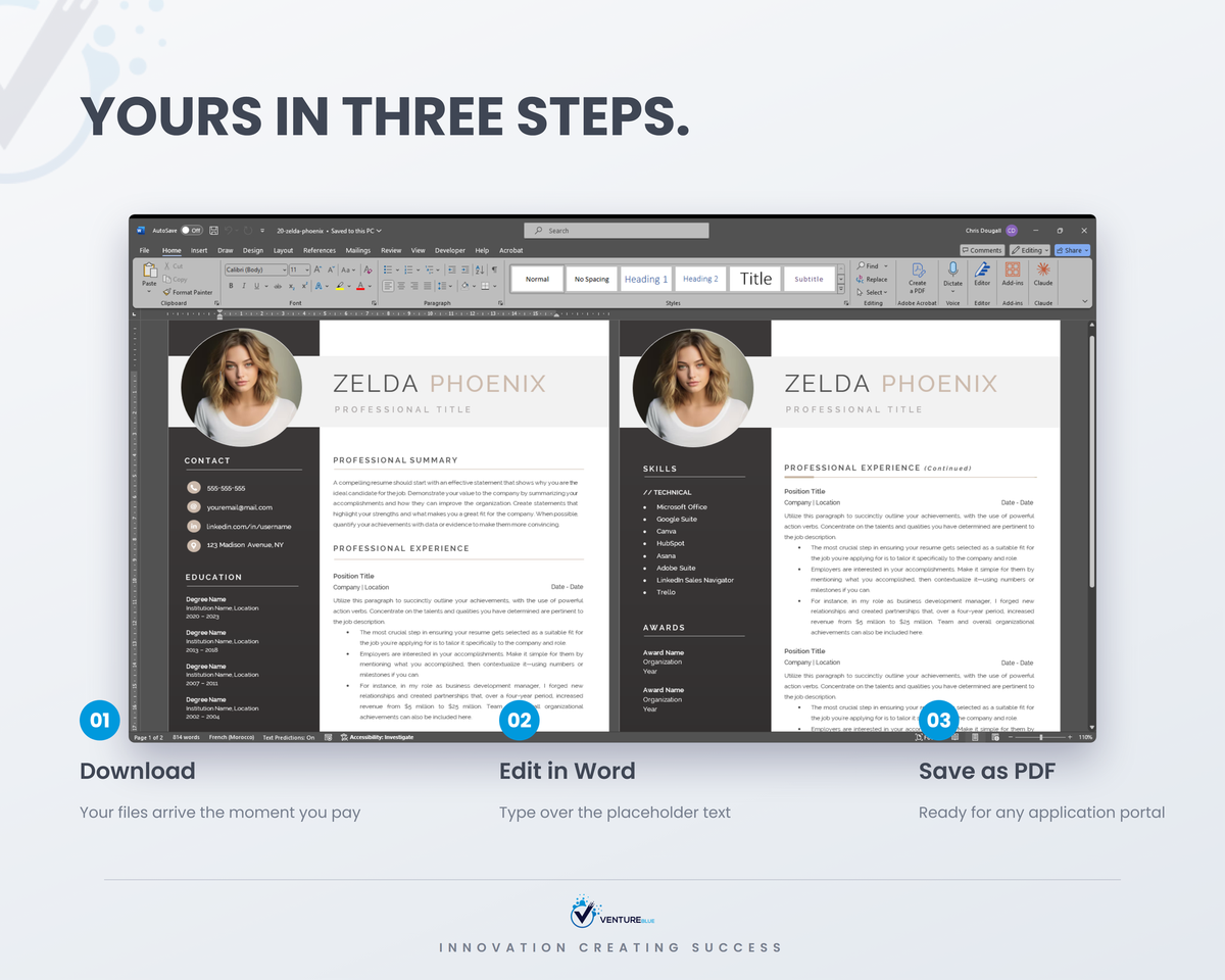 Zelda Phoenix CV template 11