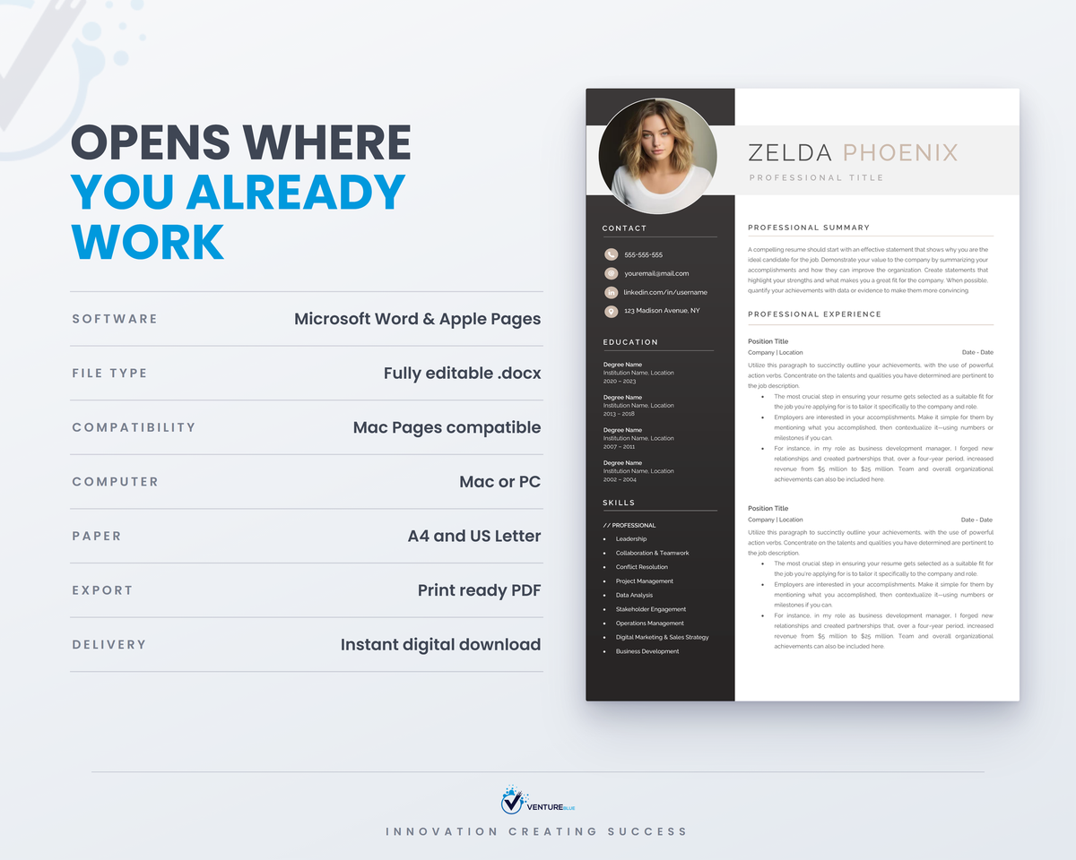 Zelda Phoenix CV template 12
