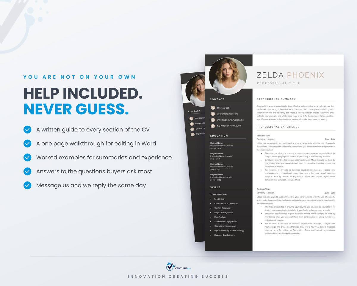 Zelda Phoenix CV template 15