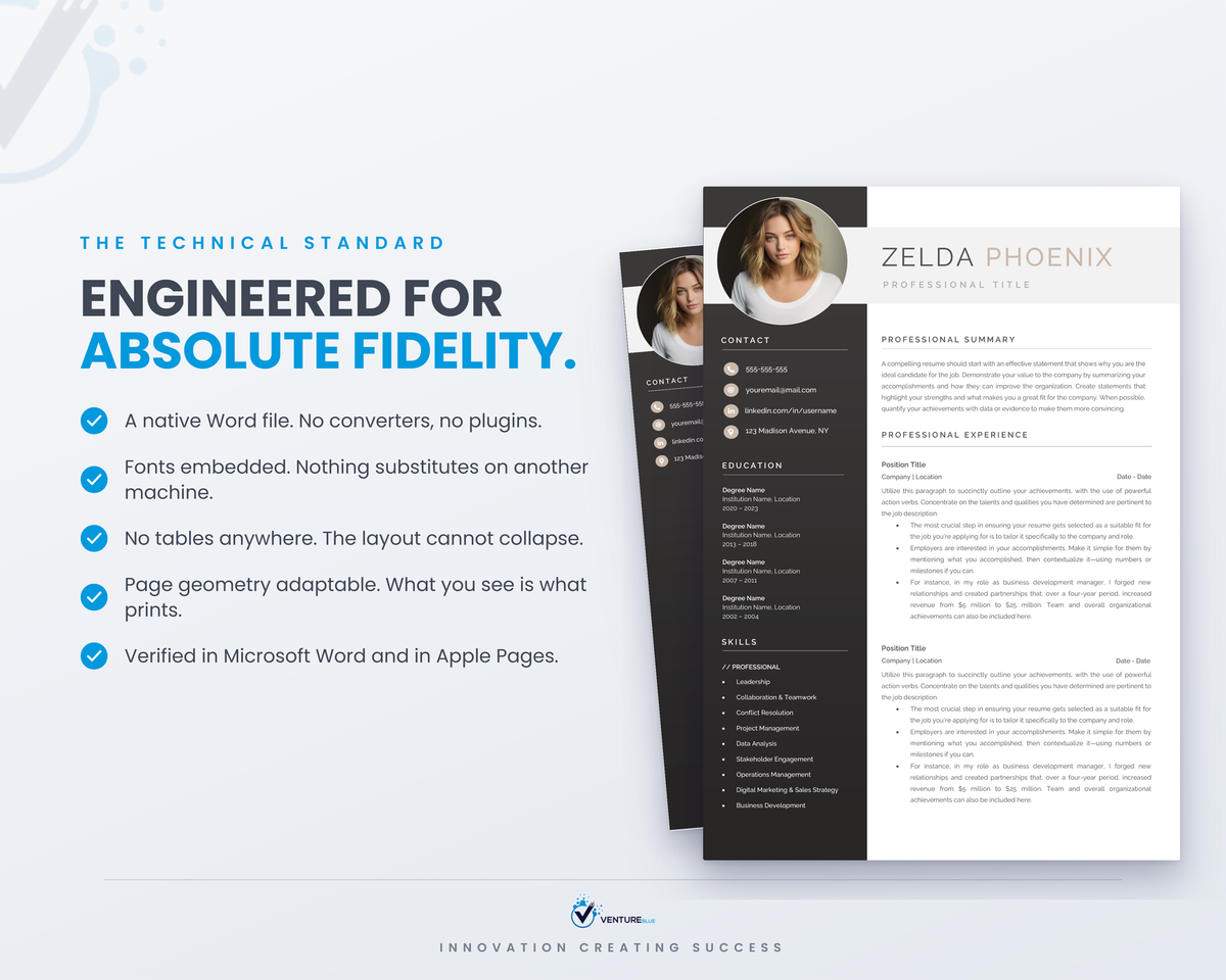 Zelda Phoenix CV template 17