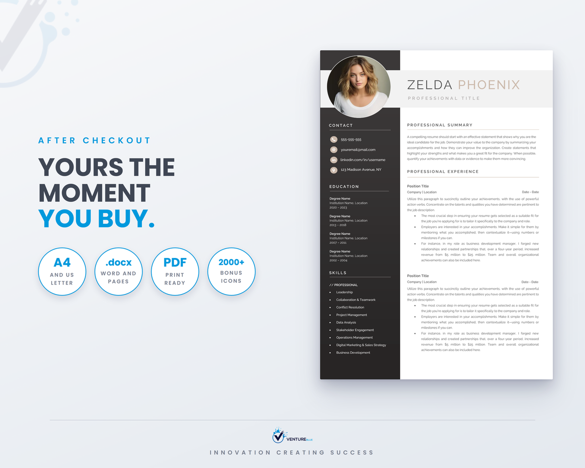 Zelda Phoenix CV template 19