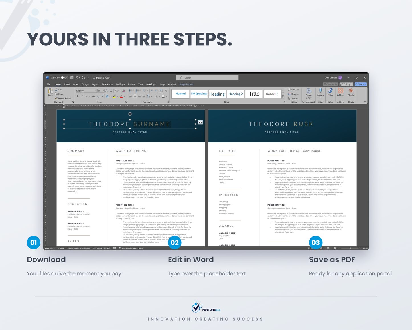 Theodore Rusk CV template 11