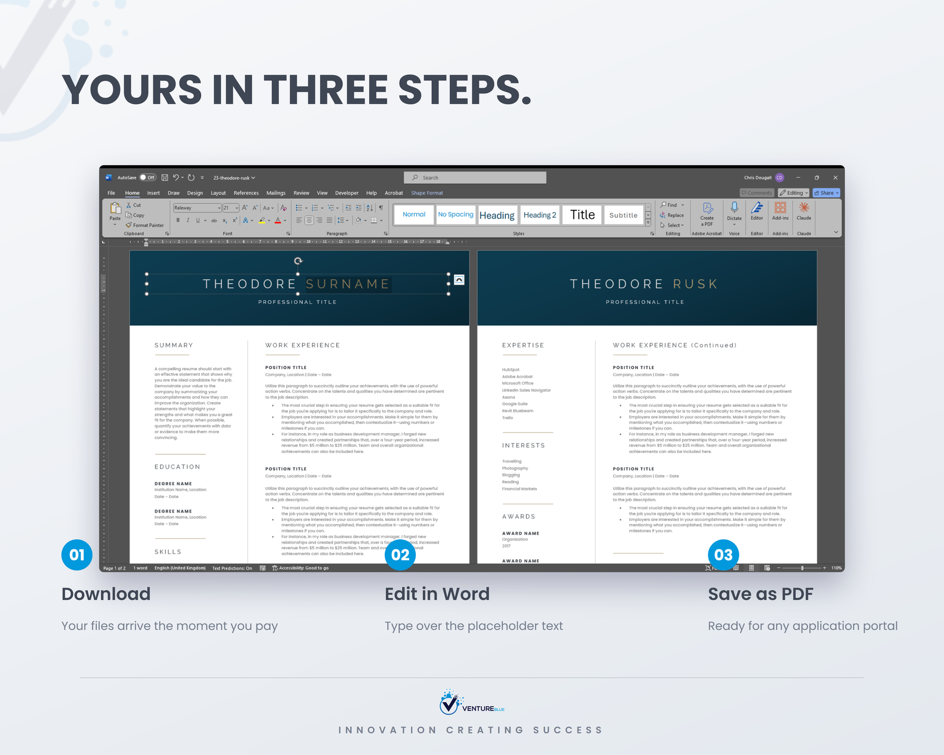 Theodore Rusk CV template 11
