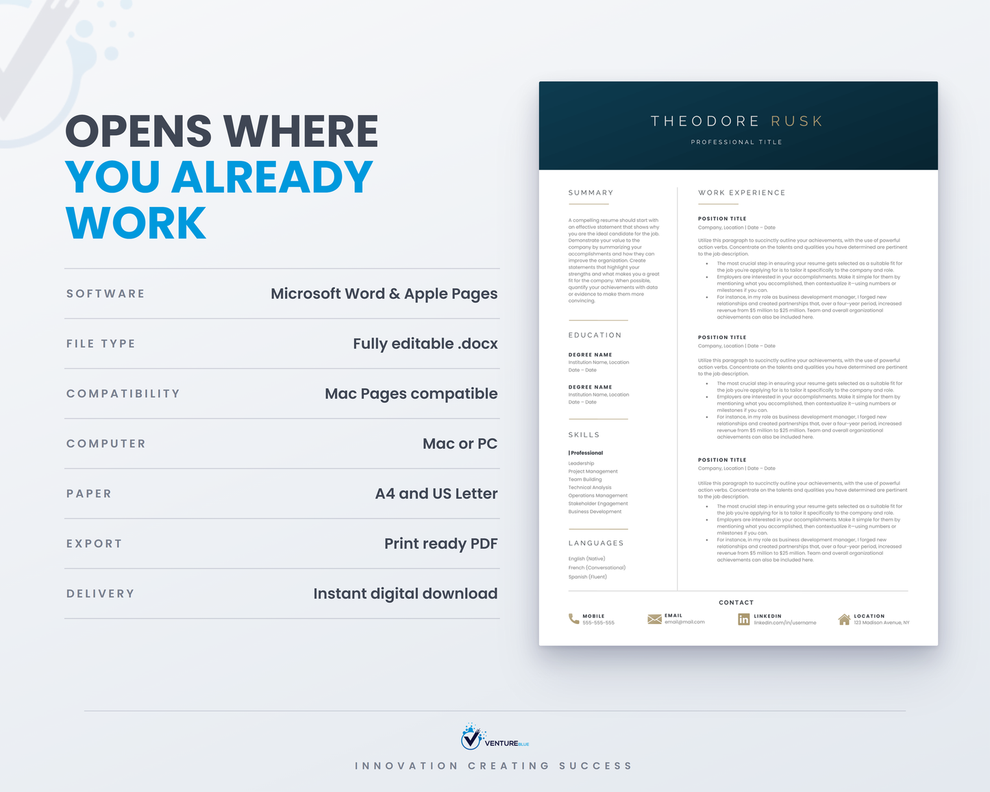 Theodore Rusk CV template 12