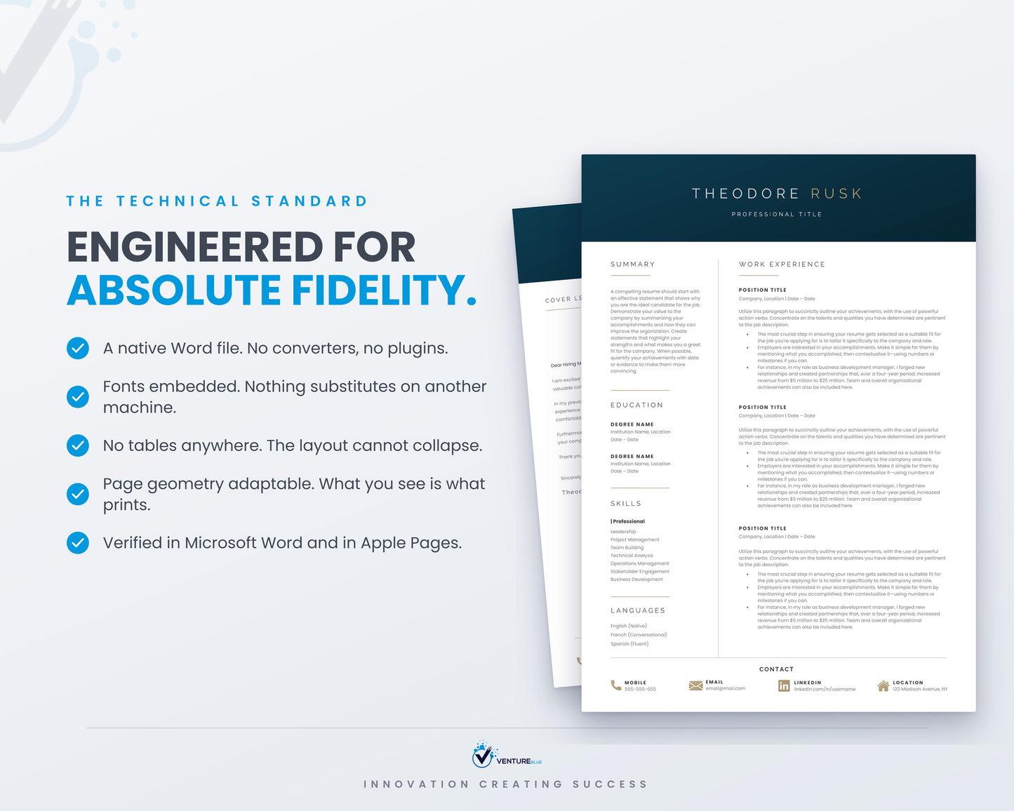 Theodore Rusk CV template 17