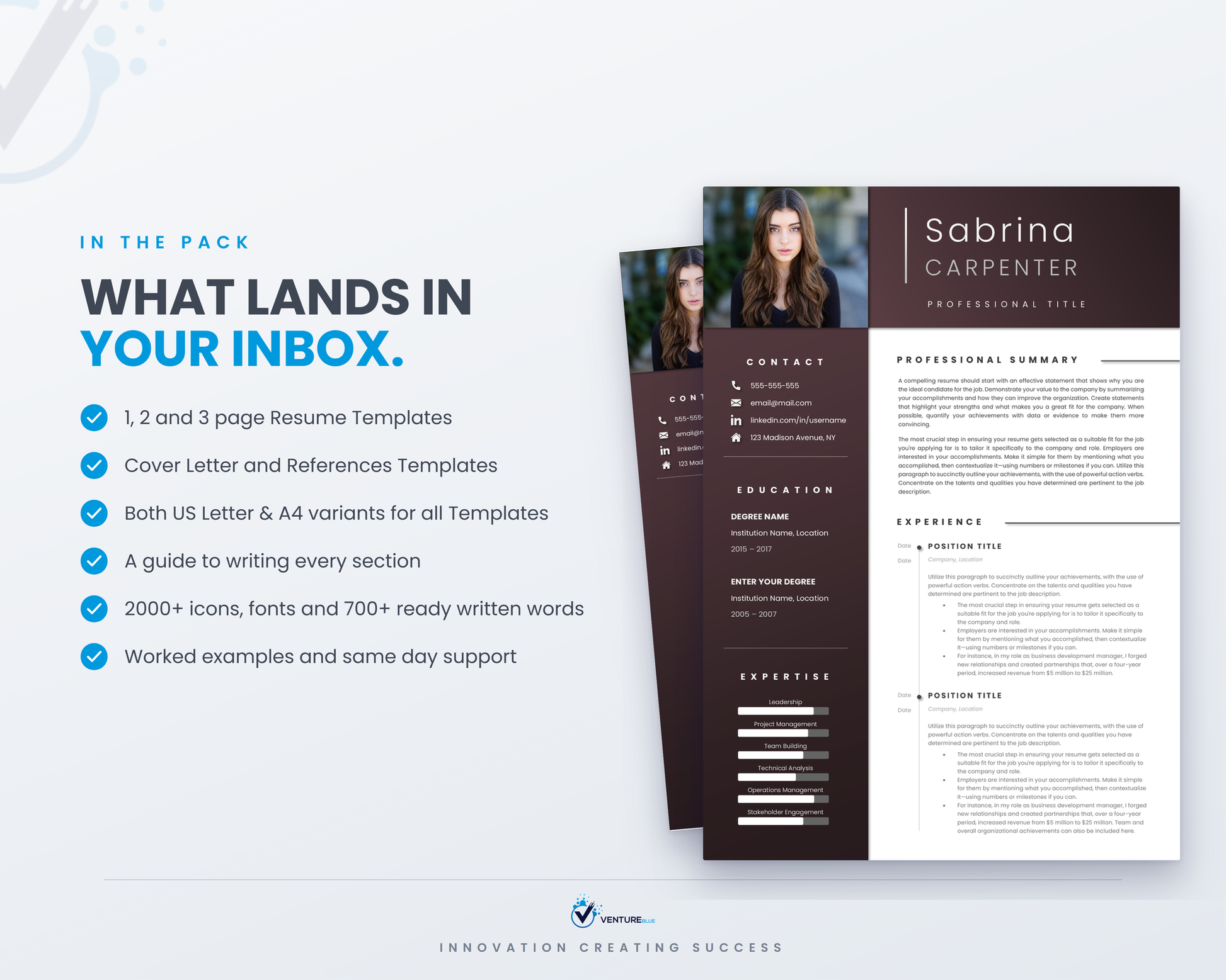 Sabrina Carpenter CV template 03