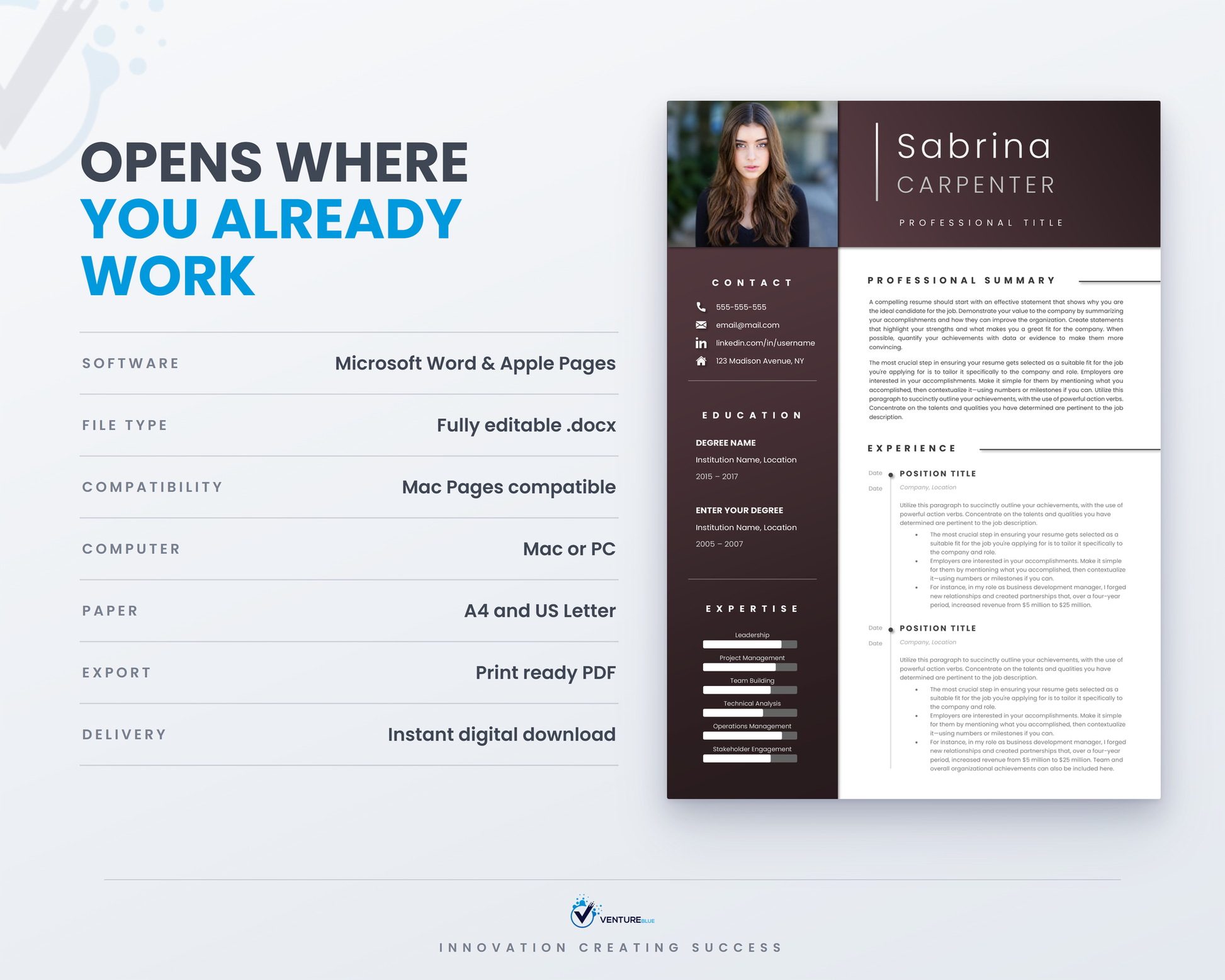 Sabrina Carpenter CV template 12