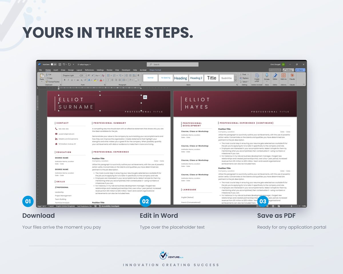 Elliot Hayes CV template 11