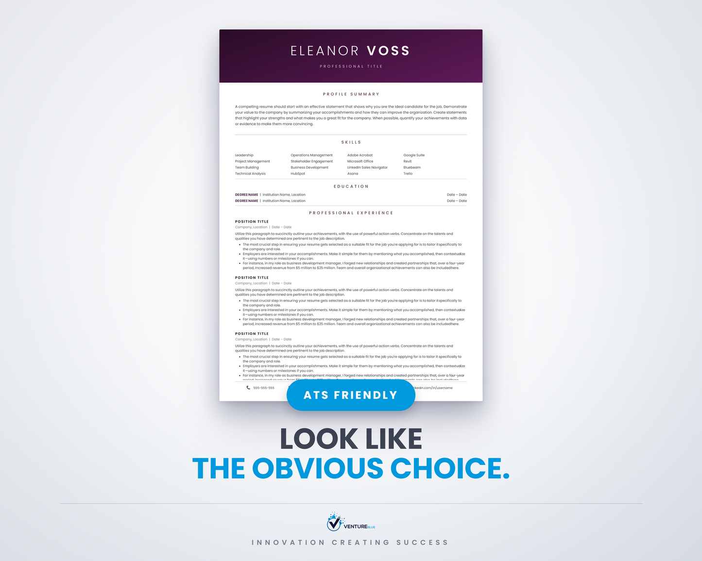 Eleanor Voss CV template 01